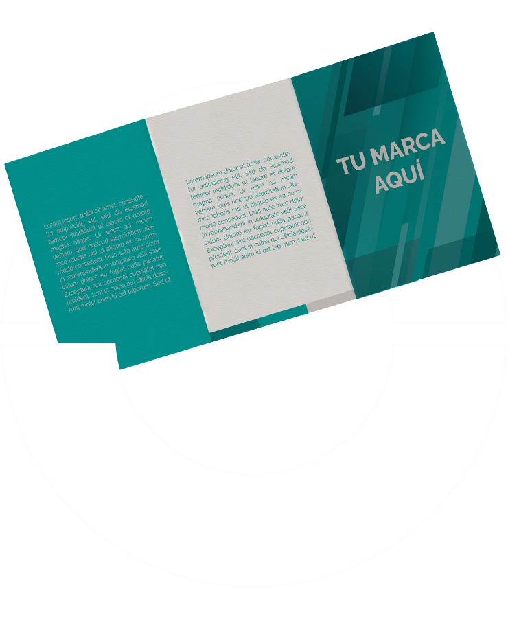 Triptico impreso