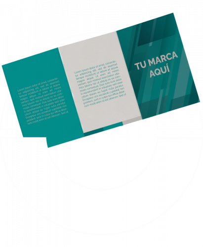 Triptico impreso